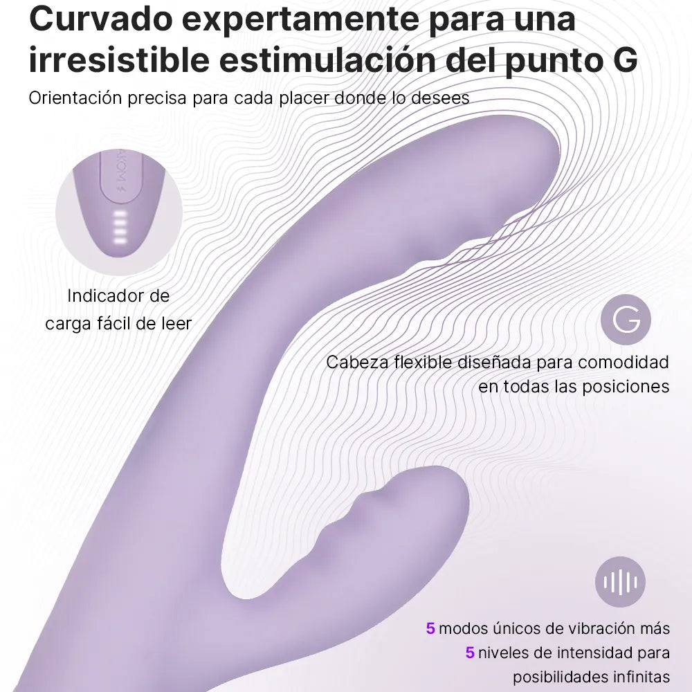 CICI+ 2